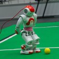 Robotite jalgpall — kübersport, mis toetab IT-õpinguid