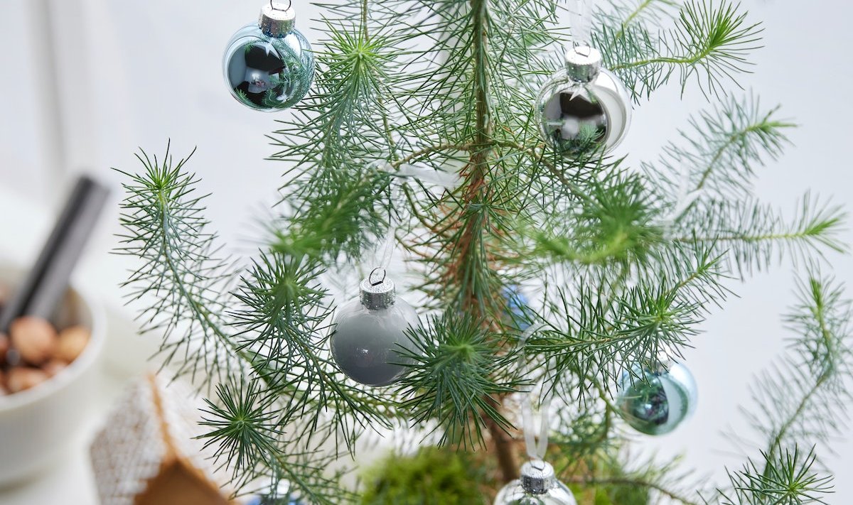 Erinevatest ehtekomplektidest kaunistuste kasutamine annab iga kord värske tulemuse.