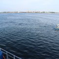 ФОТО | В заливе Копли выявили загрязнение воды: протяженность пятна более 3 км