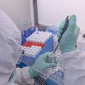 За сутки выявлено 17 новых случаев заражения коронавирусом. Ситуация в Ида-Вирумаа ухудшается