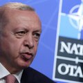 Турция на саммите в Мадриде поддержит членство Финляндии и Швеции в НАТО