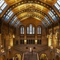 Лондонский музей закрывает постоянную экспозицию: ее сочли расистской и сексистской