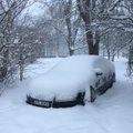 МуПо бессильна против автомобилей, припаркованных на покрытых снегом зеленых зонах