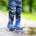 НЕДЕЛЬНЫЙ ПРОГНОЗ | Дожди придут в каждый уголок Эстонии 