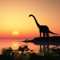 Dinosauruste väljasuremine algas juba enne asteroidi tabamust