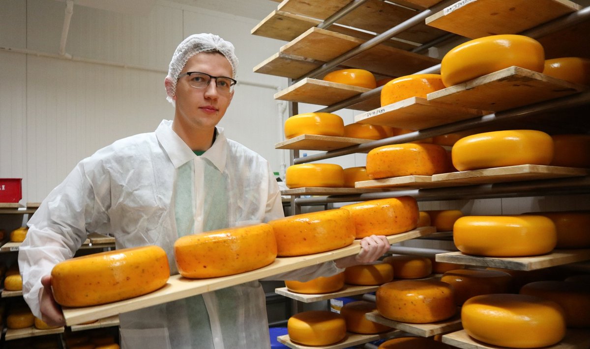 Nopri talu noorem perepoeg Joonas on juustutootmise arendamise oma südameasjaks võtnud.