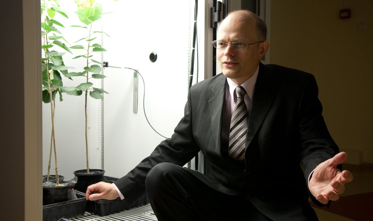Taimefüsioloogia professor Ülo Niinemets.
