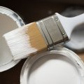 Покраска стен: 10 ошибок, о которых вы должны знать