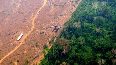 GRAAFIK | Valimised kaotanud Brasiilia president jõudis mõne aastaga hävitada tohutu pindala Amazonase vihmametsadest