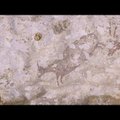 VIDEO | Indoneesiast avastati maailma vanim kujutava kunsti teos