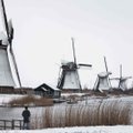 Фото | В Нидерландах произошло невероятное событие — там впервые за 10 лет выпал снег