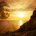 Alkeemia lugemisnurk | Legendaarse india müstiku Osho nõuanded, kuidas vabaneda surmahirmust ja julgeda elada