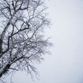 1899. aastal raputas USA-d külmalaine, mille käigus püstitatud temperatuurirekordid püsivad siiani