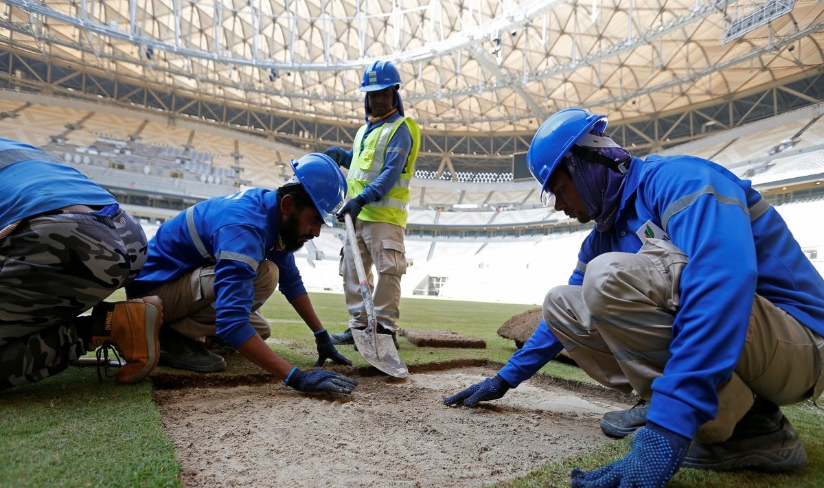Võõrtöölised paigaldavad MM-finaali võõrustava Lusaili staadionile murukatet. Pidevas päikesepaistes peavad töölised kandma kogu keha katvat riietust.