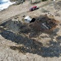 ФОТО | Пожар в Вильяндимаа: от дровяного сарая загорелась сухая трава