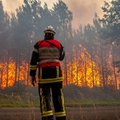 Аномальная жара в Европе: лесные пожары, температурные рекорды и „эскимо“ для животных