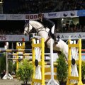 FOTOD: Tallinn International Horse Show grand prix läks lõunanaabritele