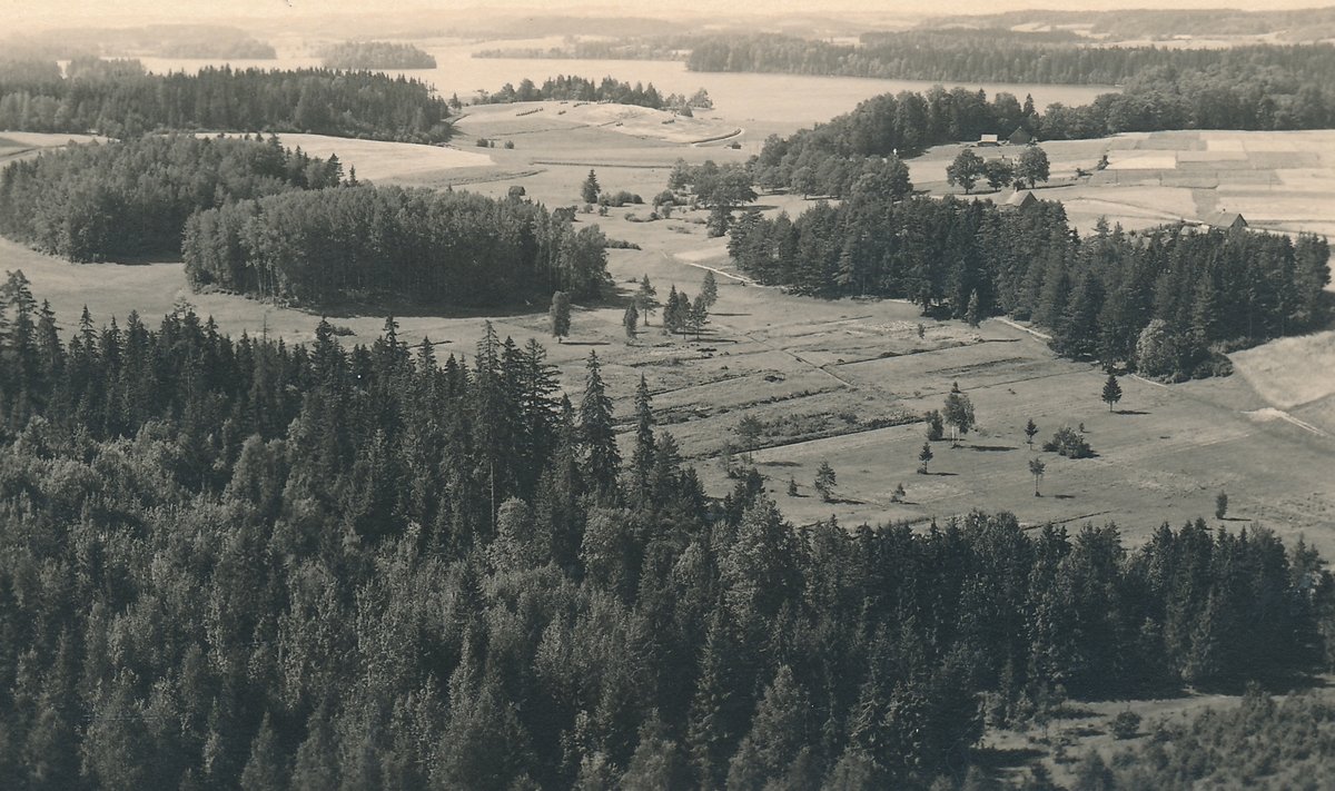 Carl Sarapi foto Otepää maastikust 1930. aastatel. Põld ja mets võitlevad ruumi pärast.