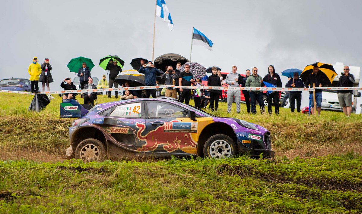 Tunnustatud ralliajakirjanik David Evans: Läti WRC-ralli tähendab, et Eesti  jääb oma kohast ilma - Delfi Sport
