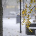 The Weather Company: в Балтии ноябрь будет относительно теплым, а декабрь — особо морозным
