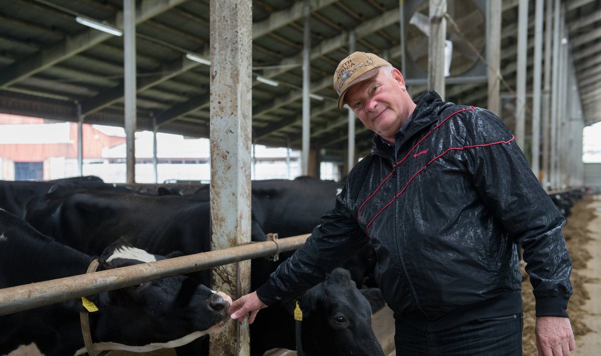 Ilmar Teevet, OÜ Vändra Sõõriku farm