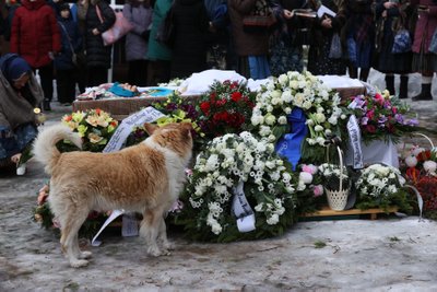 HÜVASTIJÄTT Perenaist jääb igatsema koduvalvur Kõsta.