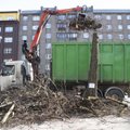 FOTOD | Hüvasti, senine pärnaallee! Tallinna südames tehti puudega üks-null
