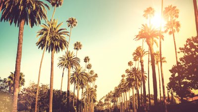 LA