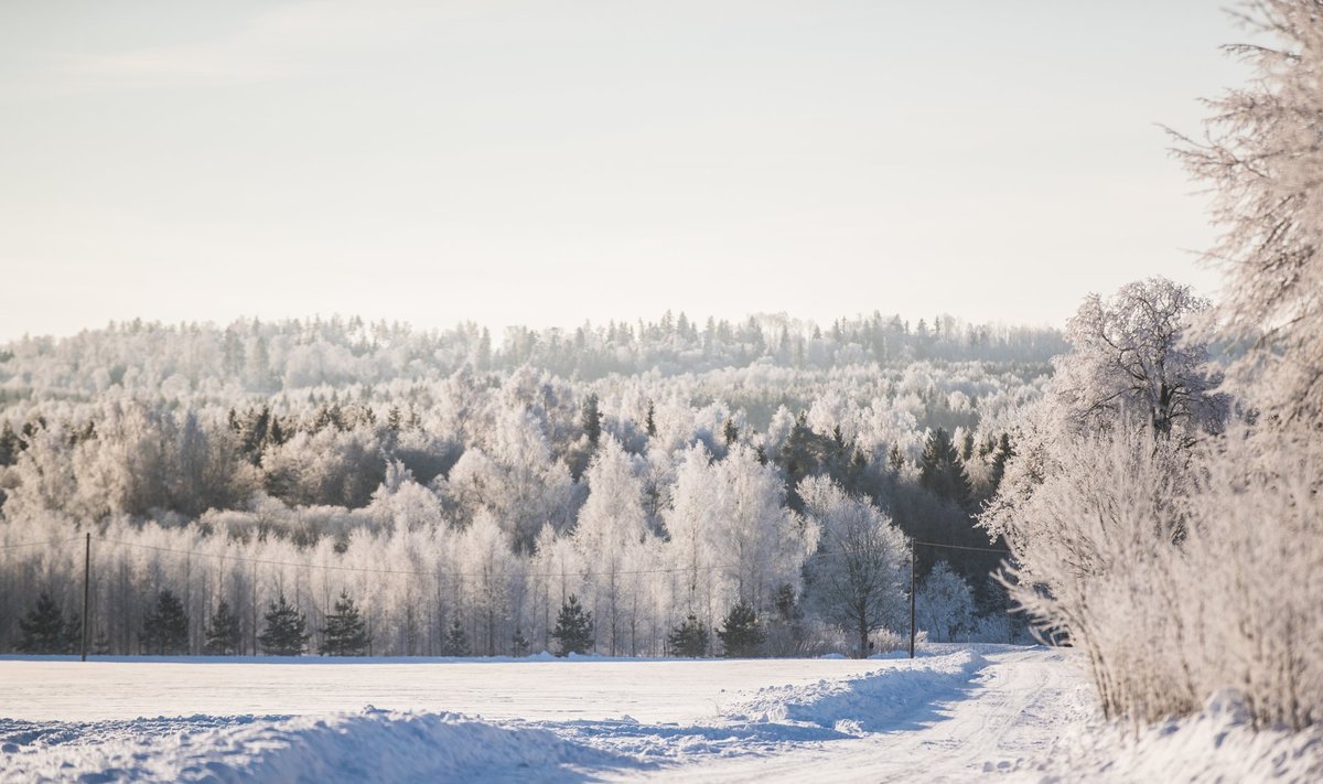 Talvine Lõuna-Eesti