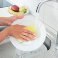 Nõudepesusvamm on köögi kõige räpasem ese, aga enamik inimesi vahetab seda liiga harva. Kas sina ka?
