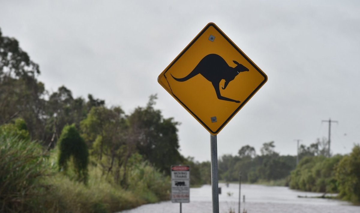 Kängurude eest hoiatav silt autojuhtidele Austraalias. (Foto: AFP)