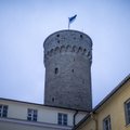 На Вышгороде отметят 25 годовщину восстановления независимости Эстонии