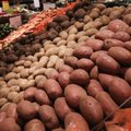 GRAAFIK: Eestlaste kartuliusk ei näi raugevat
