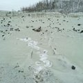 FOTO | Venemaal Tšeljabinskis ehmatas elanikke roheline lumi