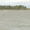 Soomes on torm Aila jätnud üle 85 000 kodumajapidamise elektrita, tuule maksimaale kiirus 35 m/s