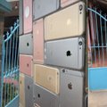 ВИДЕО | Мужчина построил на участке забор из iPhone