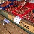 FOTOD | Esimesed Eesti maasikad turul müügil! Kui palju need maksavad ja kust leiab kõige soodsama hinnaga maasikaid?
