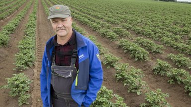 Konkurss AASTA PÕLLUMEES | Gustav Põldmaa põllul kasvavad kuninglikud kartulisordid