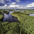 Самый зеленый отдых в краю 1000 финских озер Сайме в Финляндии