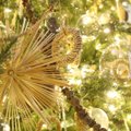 FOTOD | Niguliste kirik sai uhke jõulupuu, mida kaunistavad puidust ehted ja säravad tulekesed