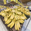Lidli tulek tekitas hinnasõja. Rimi müüb Lätis banaane pea neli korda odavamalt kui Eestis