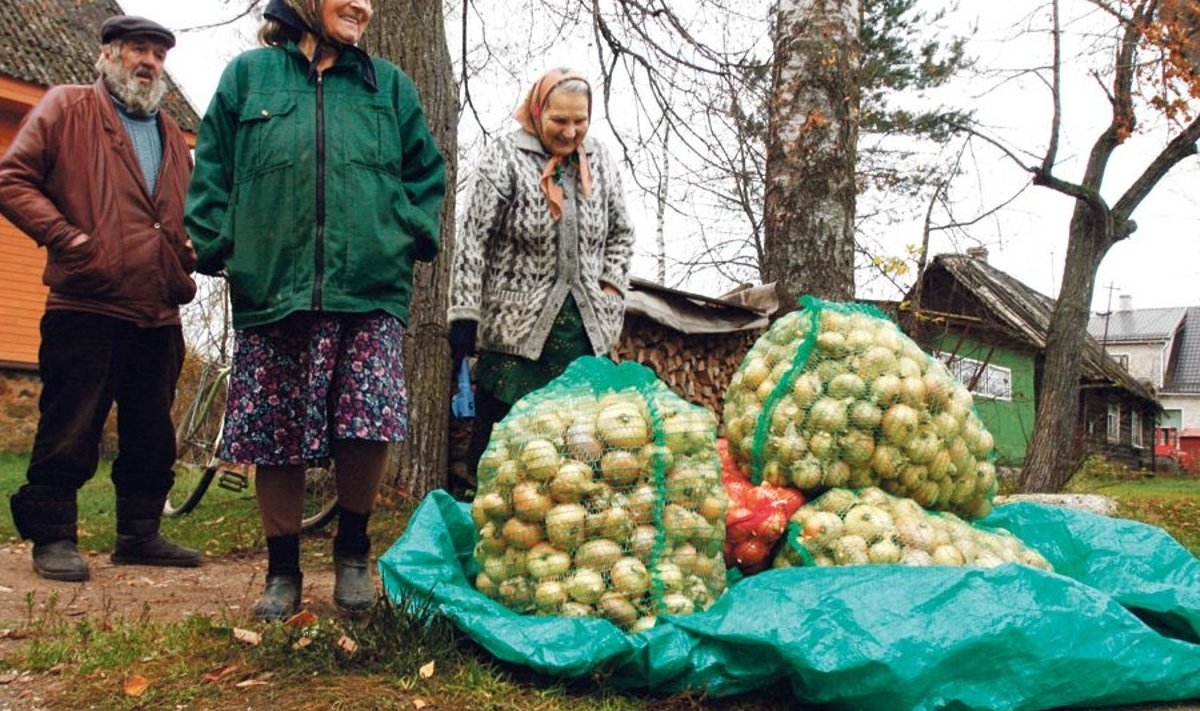 Pärast Eesti Päevalehe üleskutset said Peipsi-äärsed sibulakasvatajad sibulaid soovijatele kokku tooma hakata.