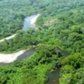 Hondurase džunglist avastati ilmselt legendaarse ahvjumala linna varemed