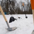 Rein Sikk: lumelabidas annab toredat füüsilist koormust