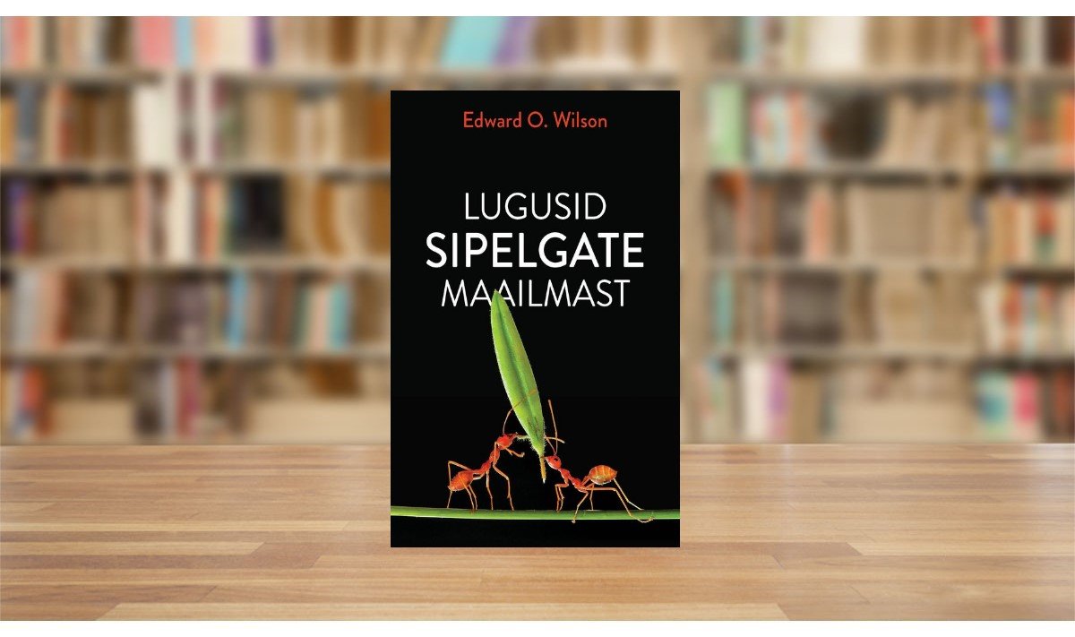 Lugusid sipelgate maailmast.