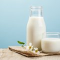 Müüt või tõde? Kas piim tekitab suuremat limaeritust? 