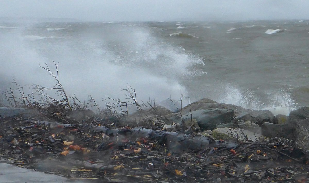 Torm Saaremaal