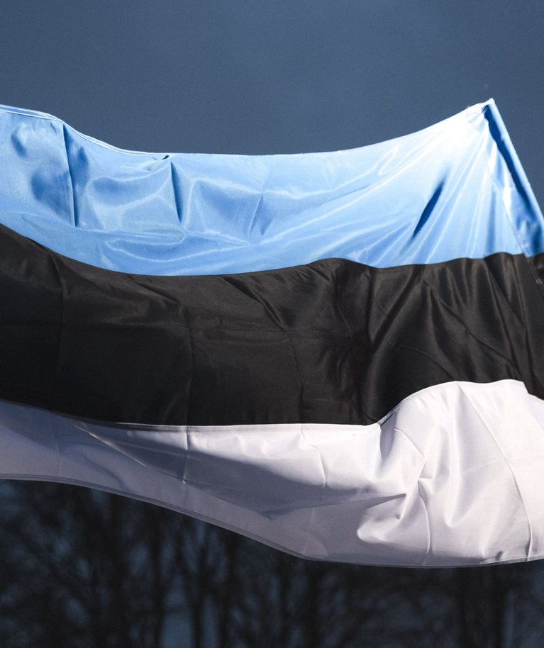 Eesti lipu kasutamisega tuleb aeg-ajalt ette probleeme. Üldjuhul teadmatusest.