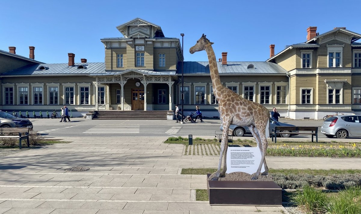 Kaelkirjak Tartu Vaksalis