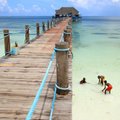 Lugusid logelejate saarelt Sansibarilt: elu parim kalapüük tõi kätte maailma kiireimaks kalaks peetava 25-kilose purjekala-puraka